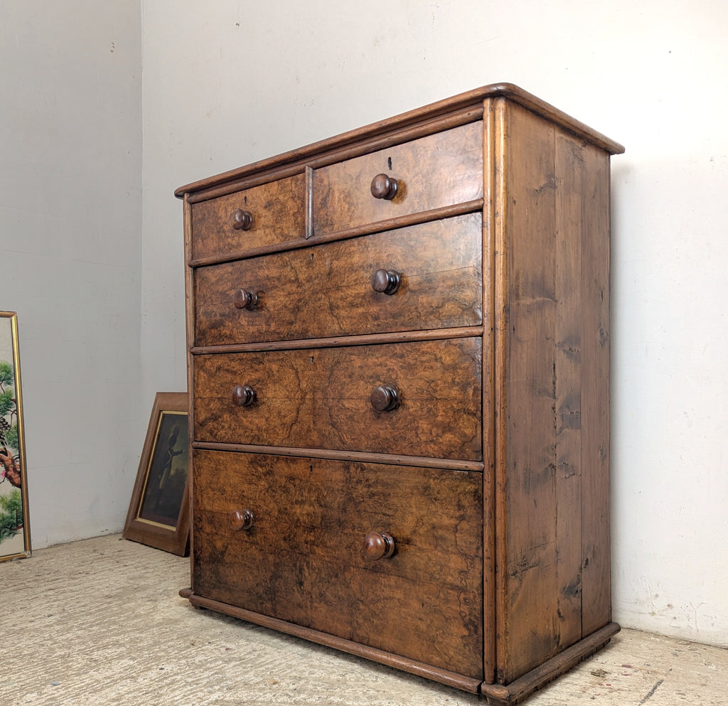 Victorian Burr Walnut Fronted Chest of Drawers